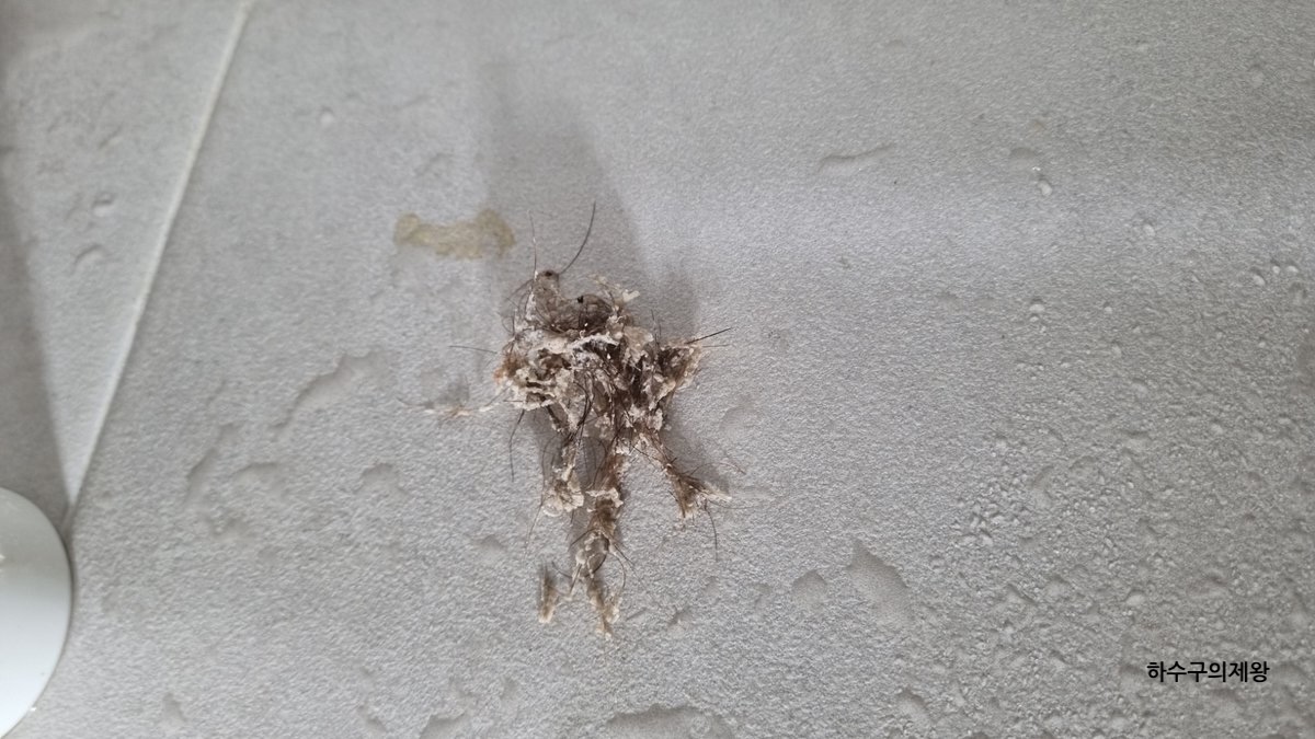 성북구 길음동 아파트 배수구 막힘 문제 해결 완료