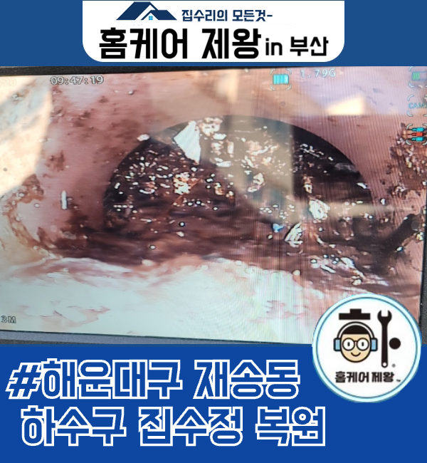 d606fb66be68e.png