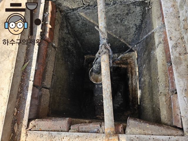 d636afe2ec5e8.jpg