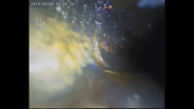 dc7dbef7075b1.gif