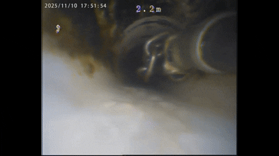 eab8a455cdab4.gif