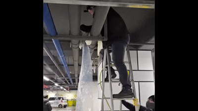 eef98a6b81600.gif