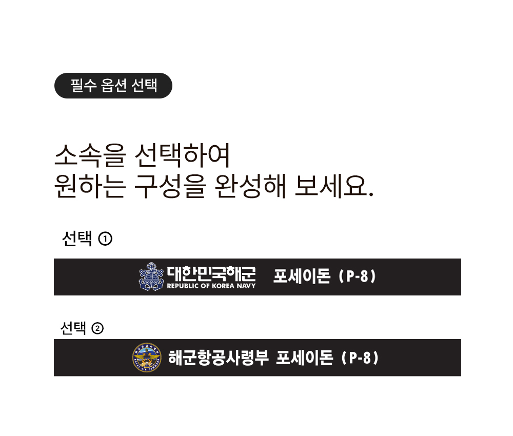 대한민국 해군 포세이돈 P-8