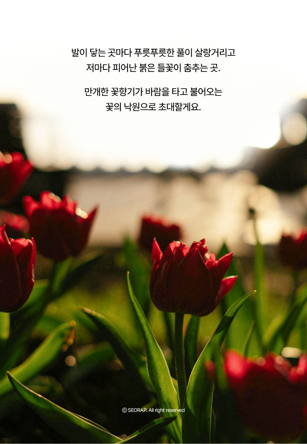 화장품 상품상세 이미지-S30L6