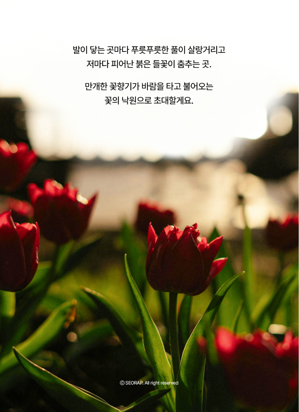 악세사리 상품상세 이미지-S38L19