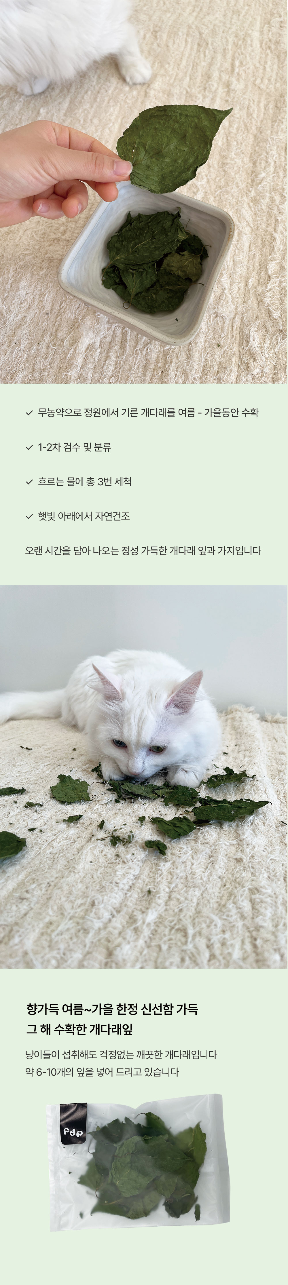 집사가 기른 국내산 캣닢 마따따비 티백