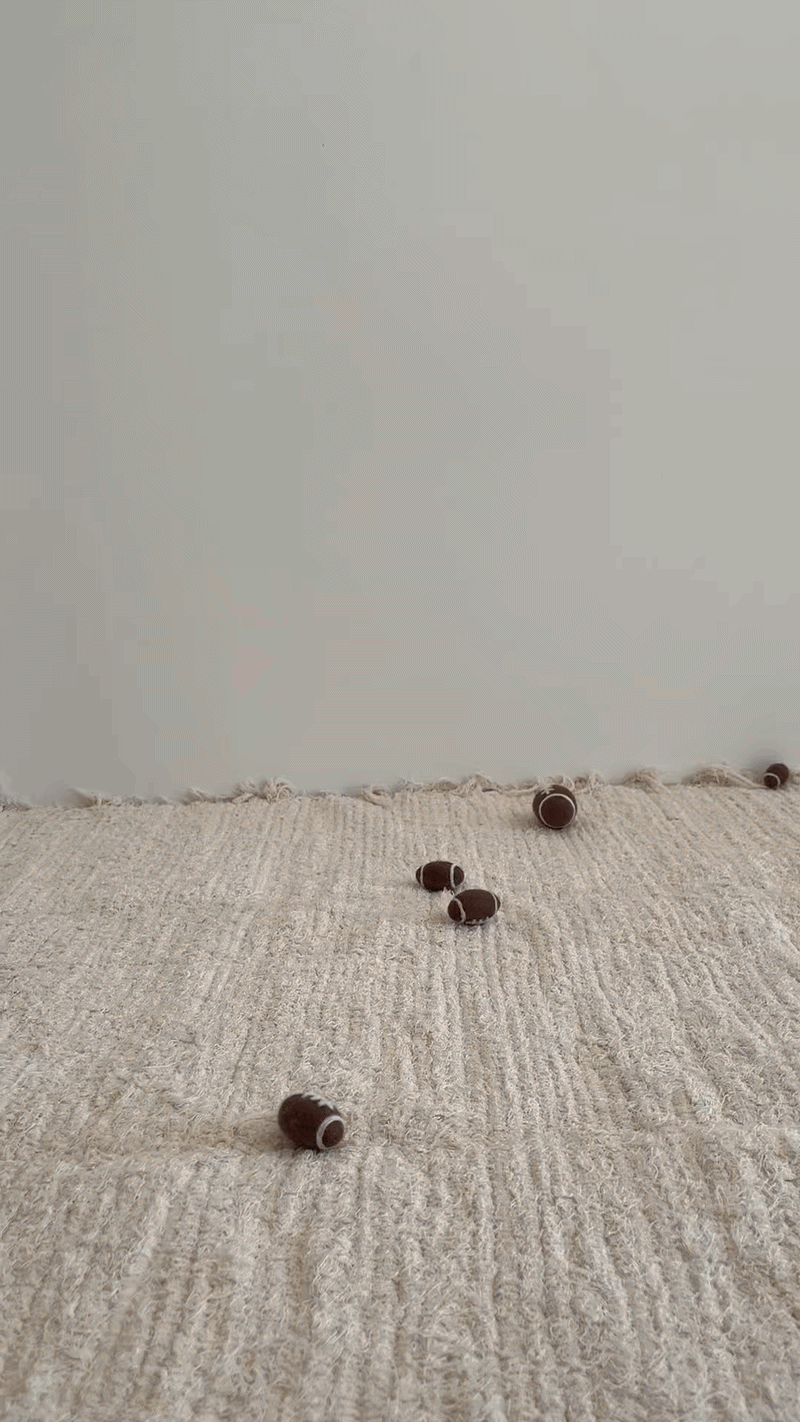 럭비공