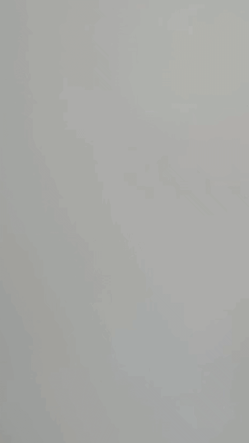 꿀벌과 베짱이