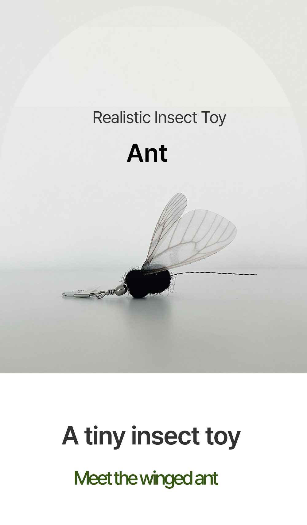 Ant