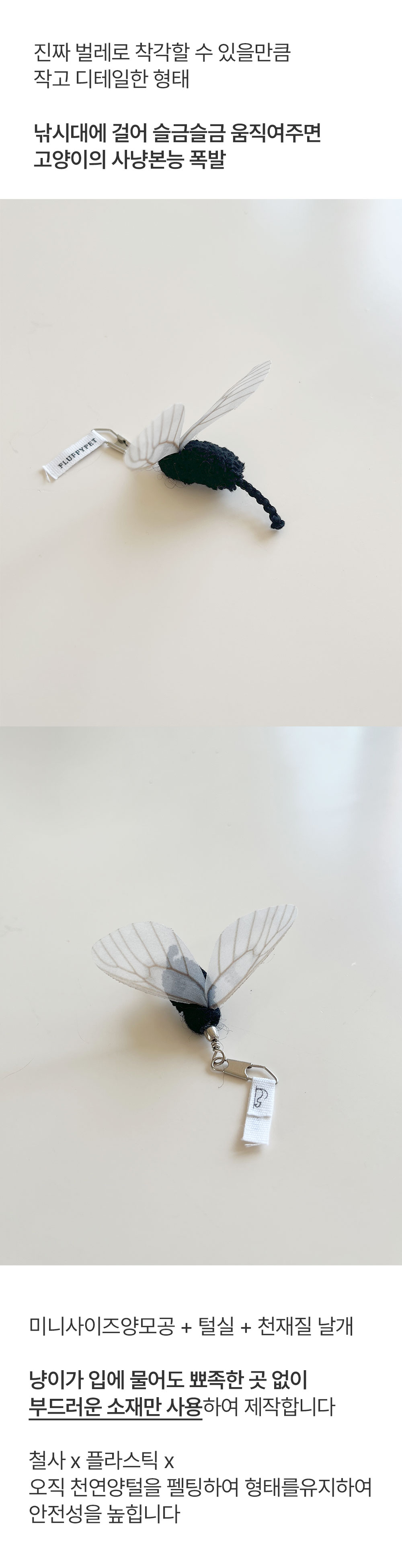 개미