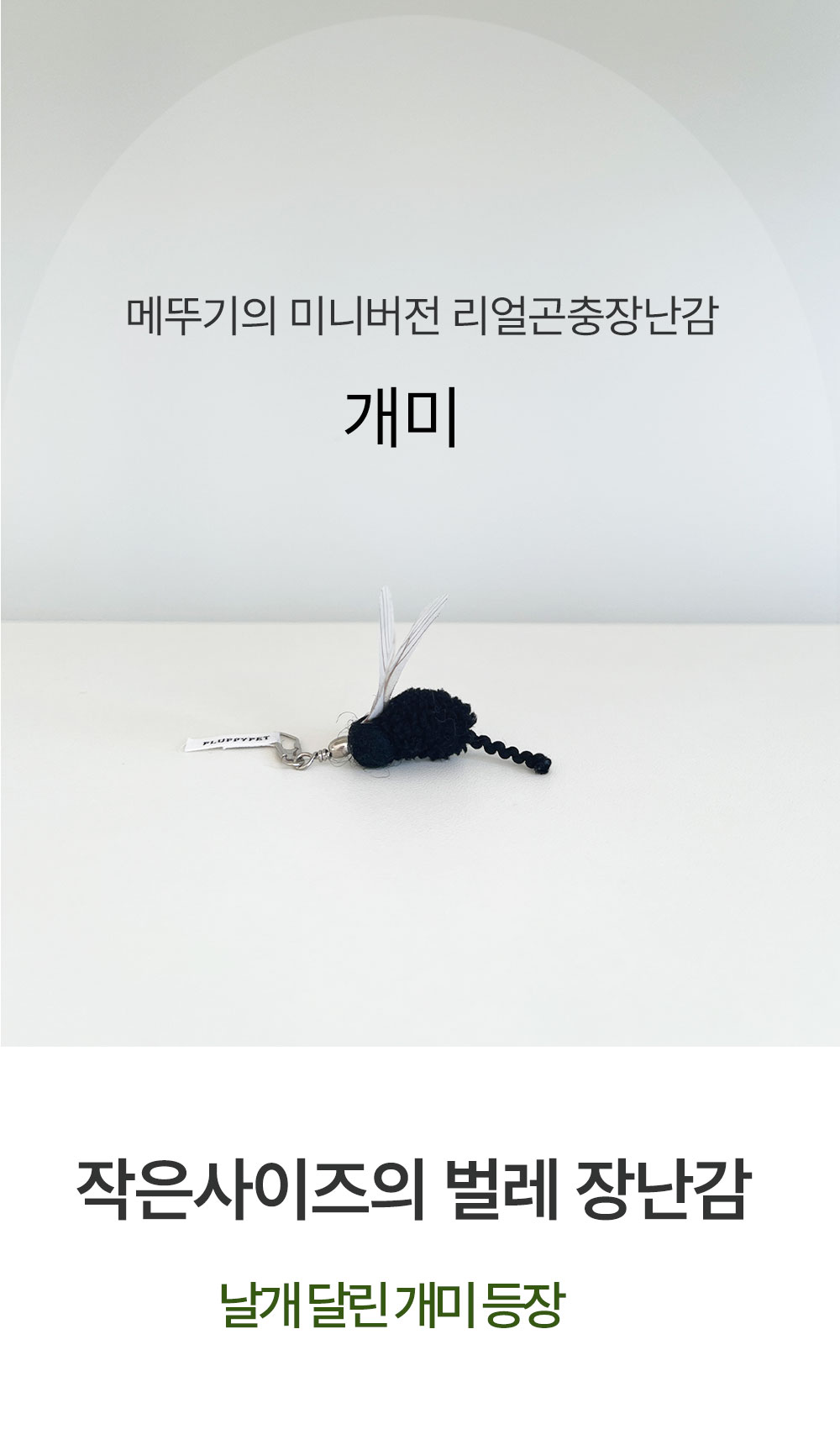 개미