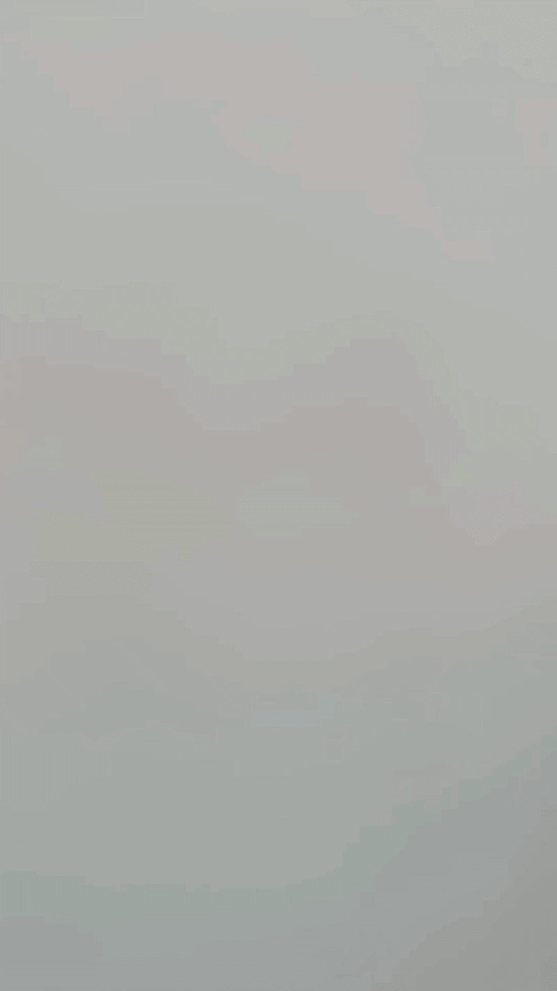 꿀벌과 베짱이
