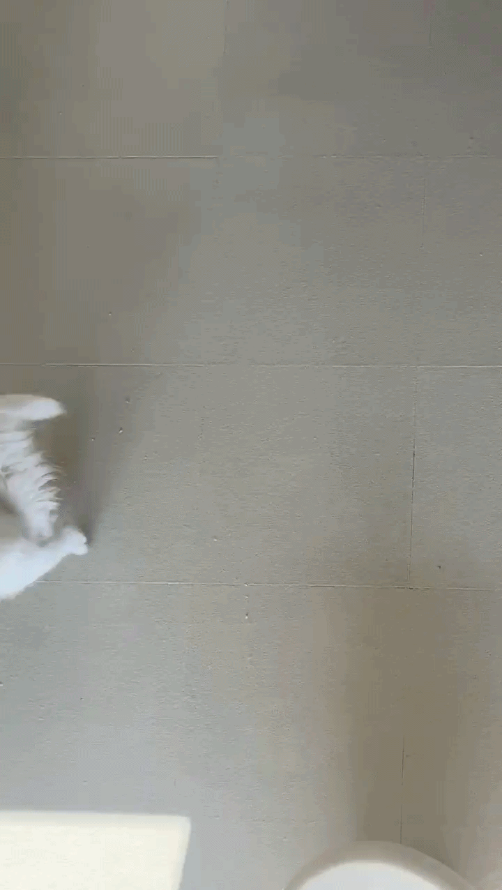 Cocowing