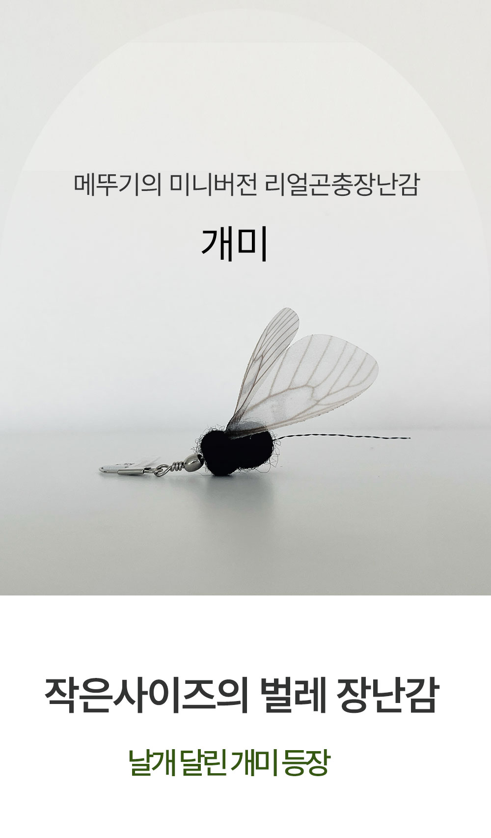 개미