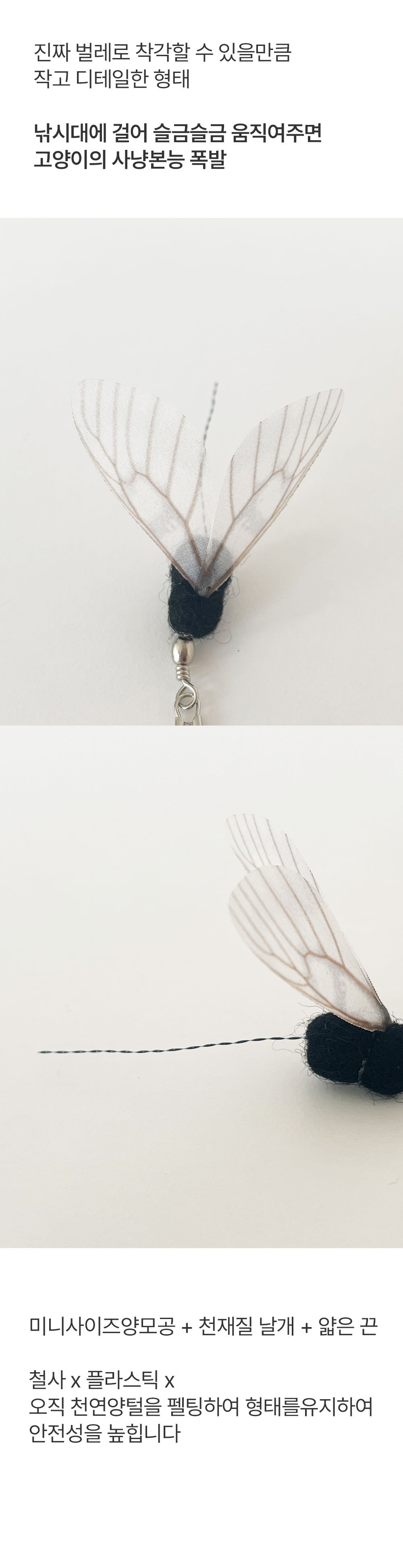 개미