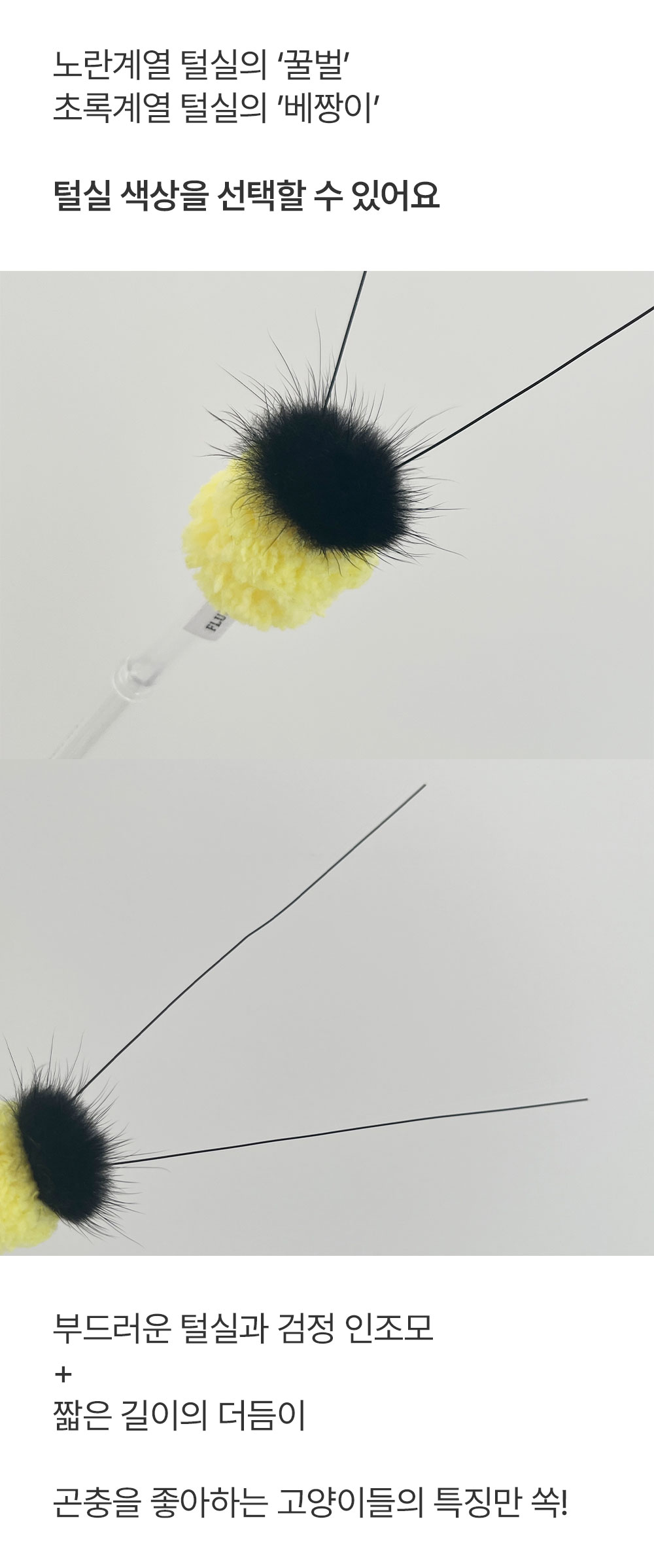 꿀벌과 베짱이