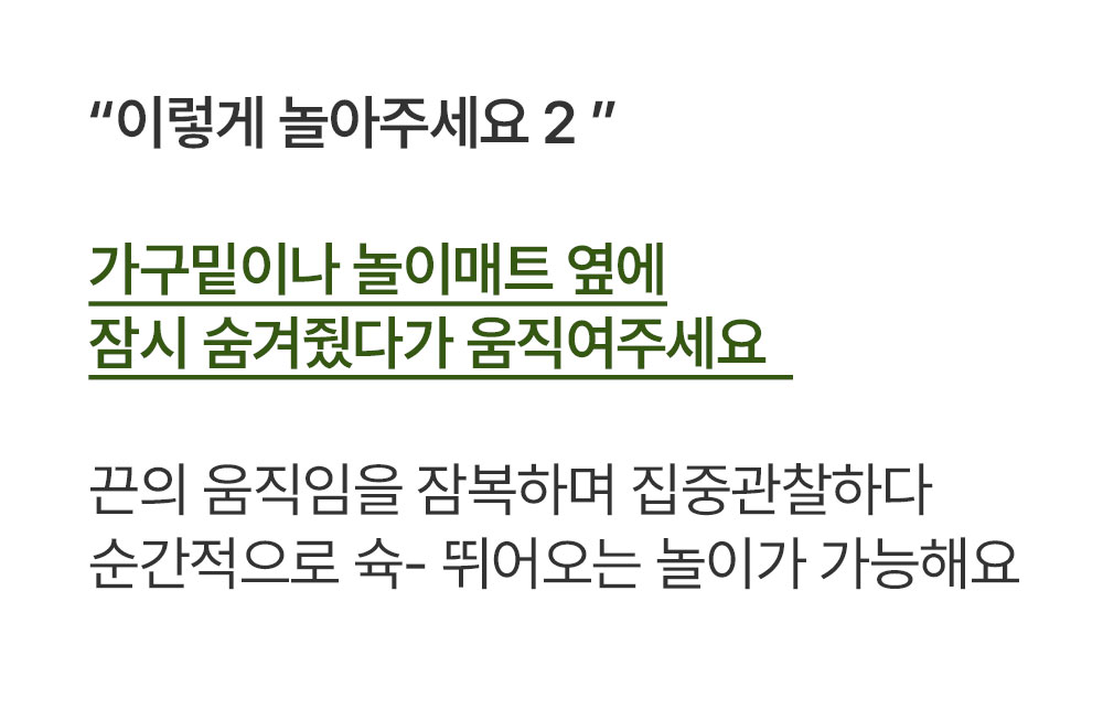 행운의 수염