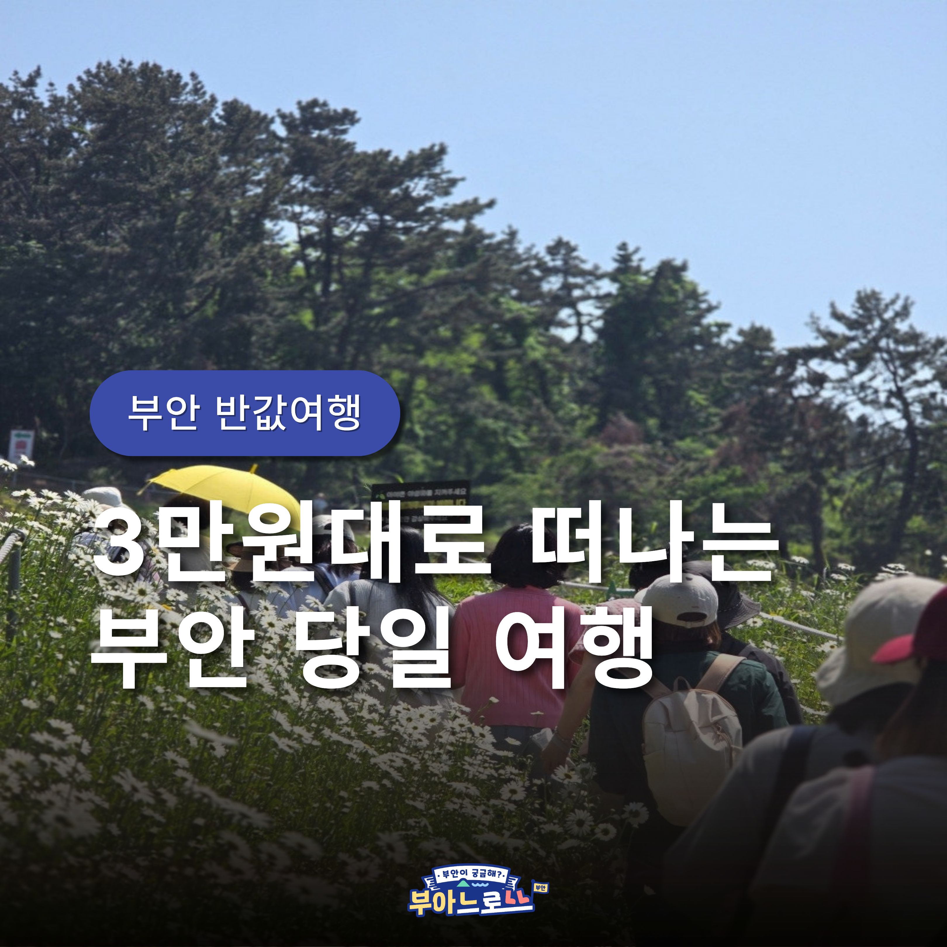 19c1328fb6dcc.jpg