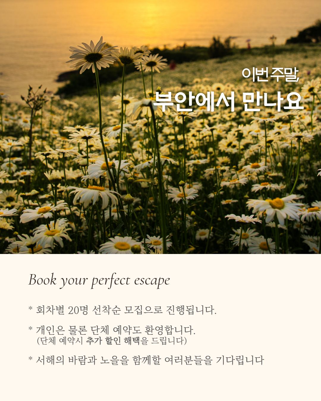 서해랑, 쉼해랑 6월 하반기| 서해랑길 따라 걷는 여행 참가자 모집! [6/20, 6/27]