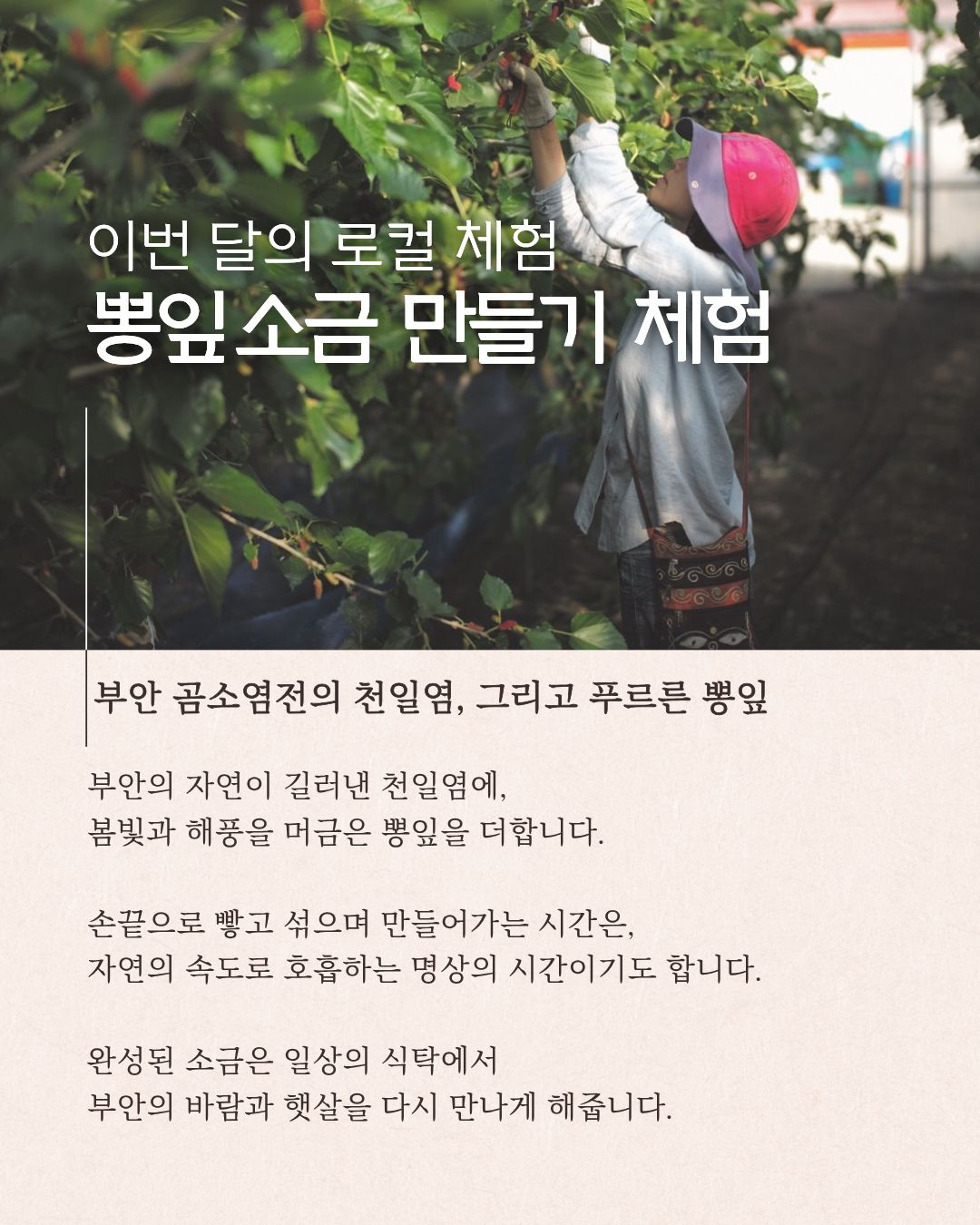 서해랑, 쉼해랑 6월 하반기| 서해랑길 따라 걷는 여행 참가자 모집! [6/20, 6/27]