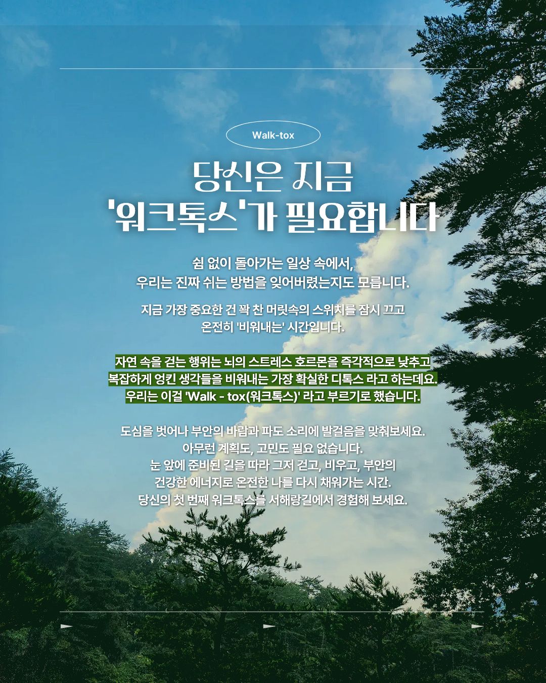 서해랑, 쉼해랑 8월 '변산비치파티' 투어 참가자 모집! [7/24~8/17]