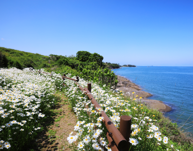 7392b17009a1e.png