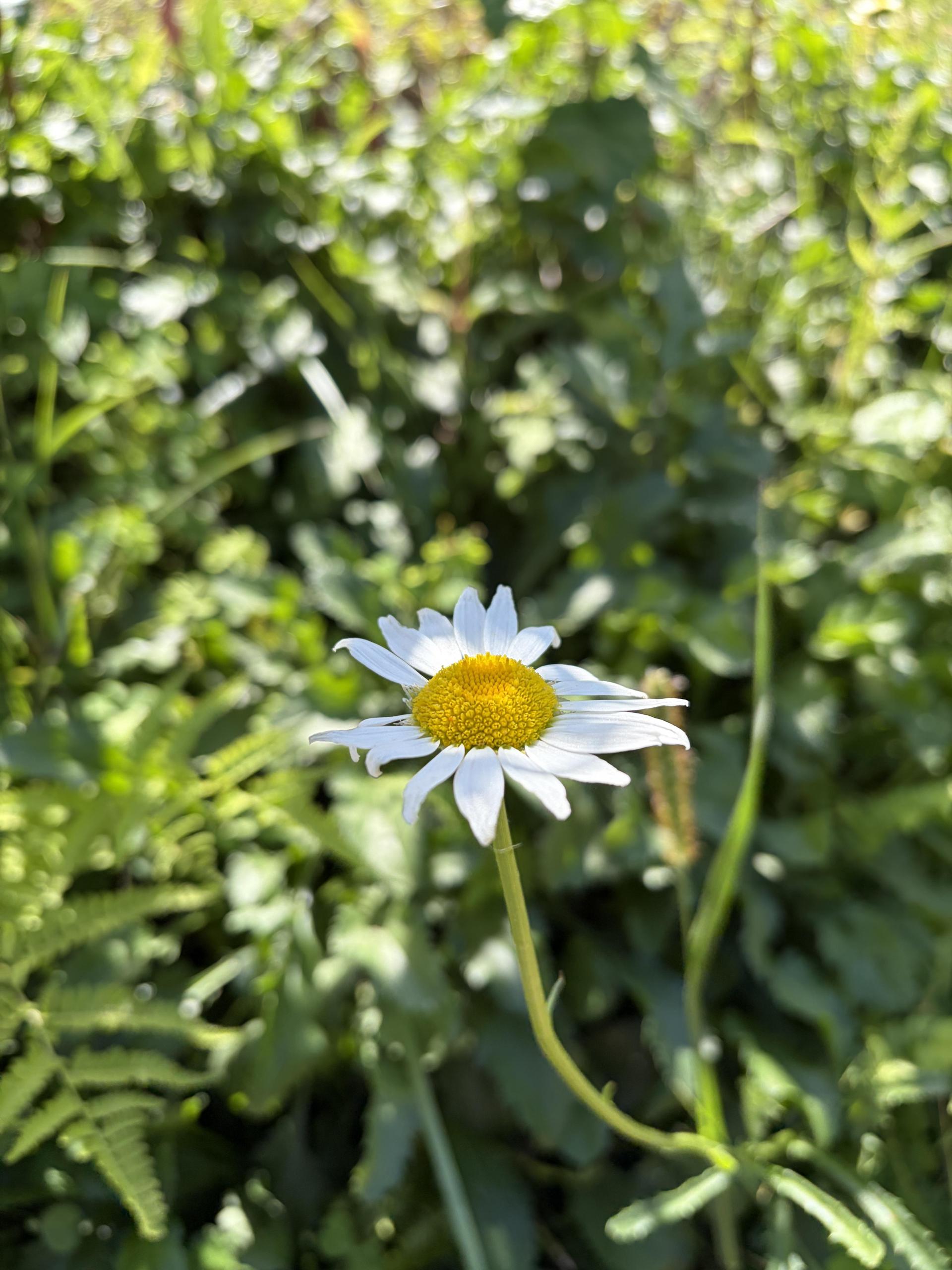 7b052cda45607.jpg