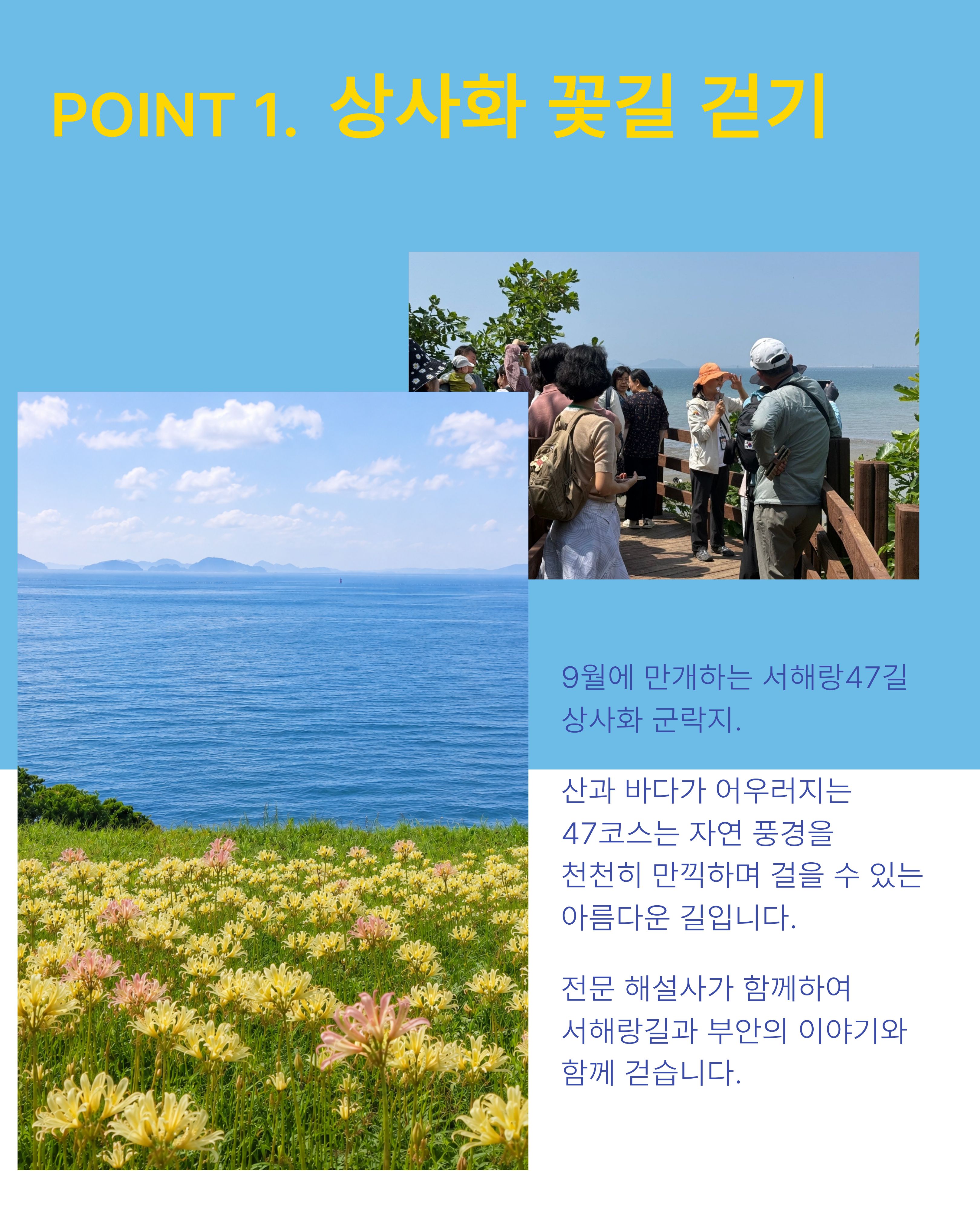 [일정 추가!] 9월 부안 당일여행, 서해랑길 꽃길 걷기 여행 '서해랑 쉼해랑' 참가자 모집! [9/12,9/19]