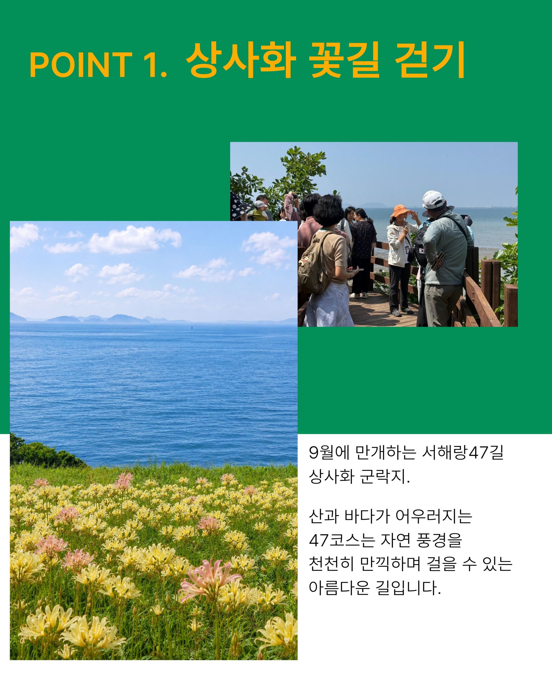 [상시 모집] 부안 서해랑길 47코스 완보여행 '걷고, 먹고, 나만의 기녀품 티셔츠까지'