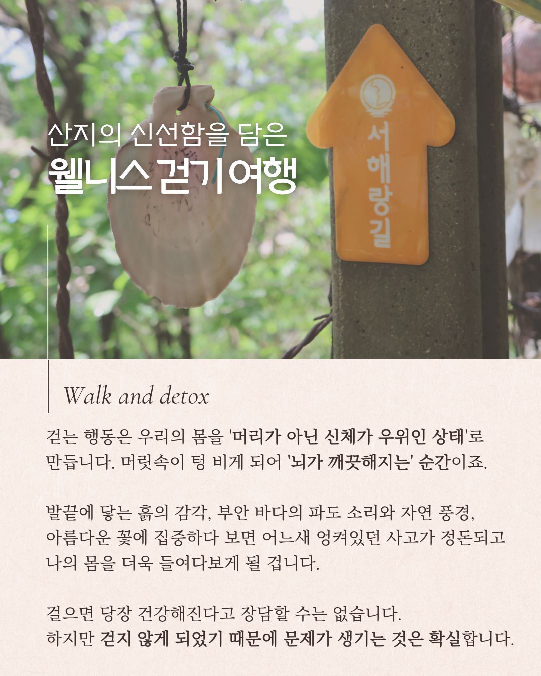 서해랑, 쉼해랑| 부안 봄꽃 여행 A코스 6월 오픈! [6/6, 6/13]