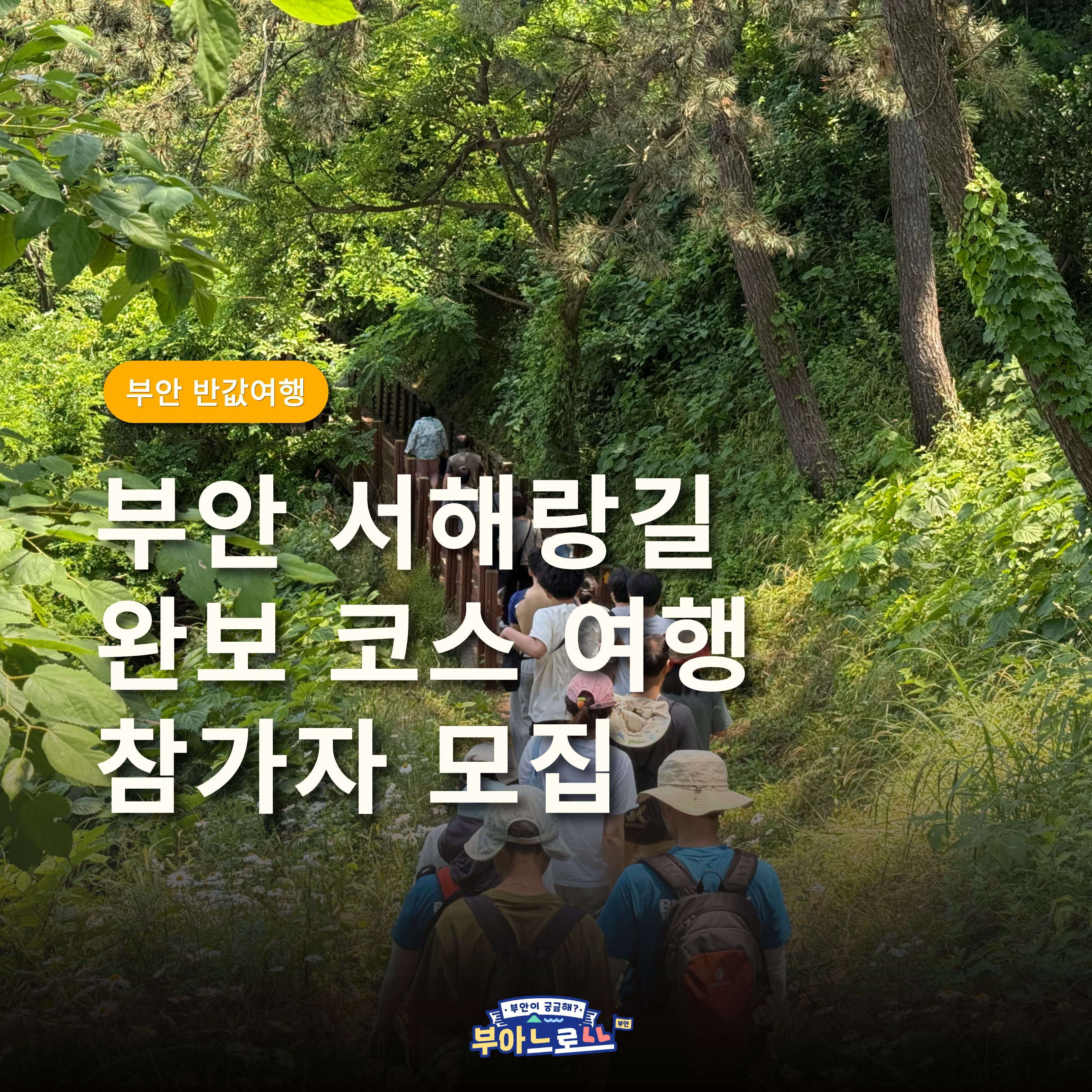 b8248d2d7d255.jpg