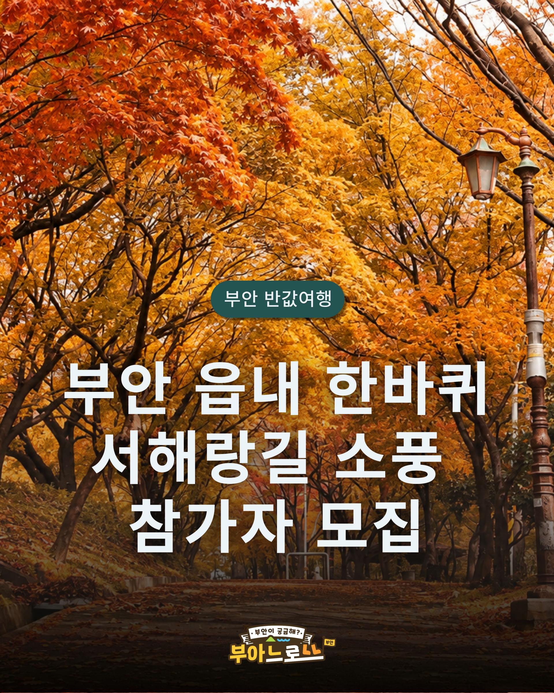 [부안여행] 서해랑길 49·50코스 걷기투어｜로컬식사·기념품·가이드 포함 5천원