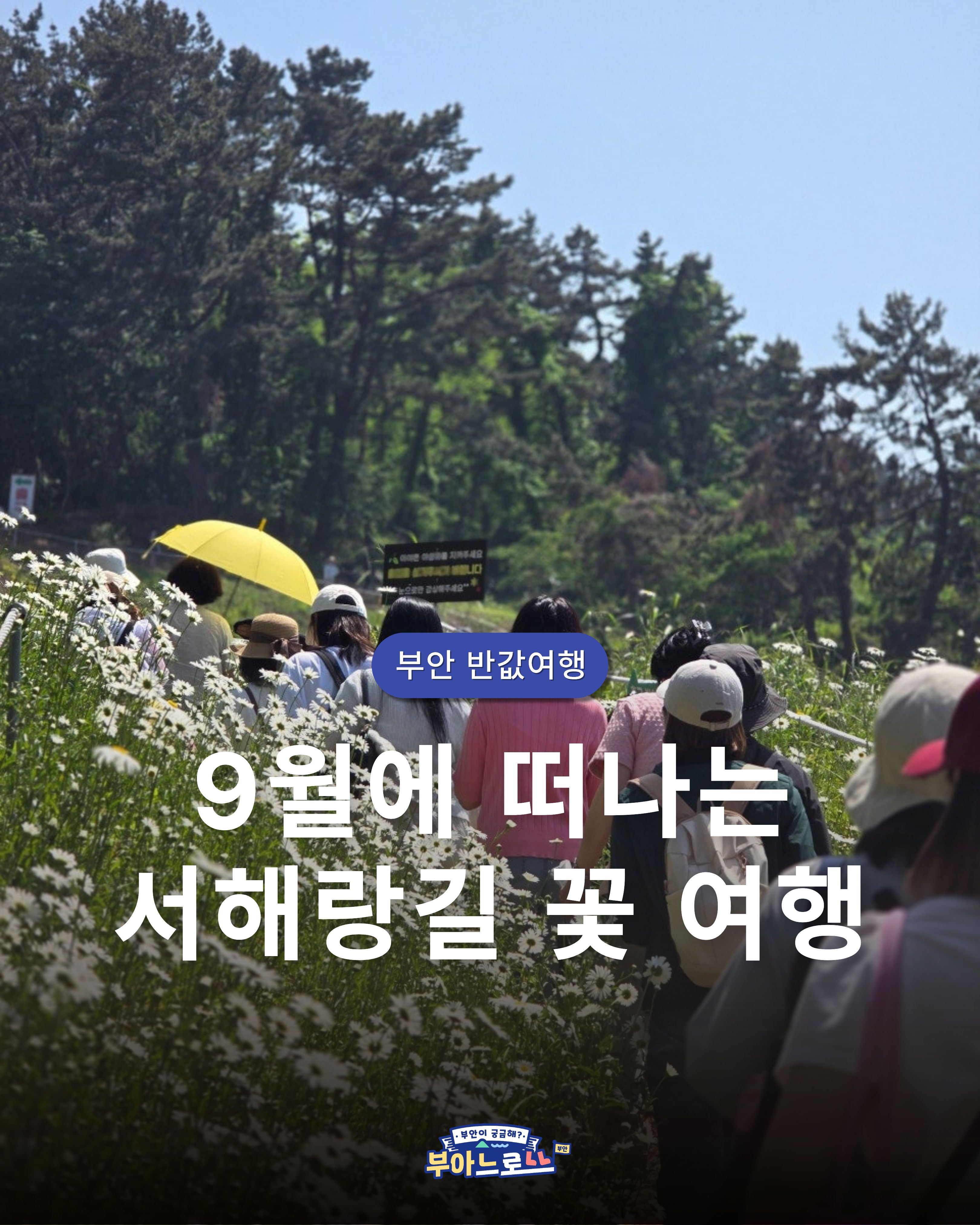 [일정 추가!] 9월 부안 당일여행, 서해랑길 꽃길 걷기 여행 '서해랑 쉼해랑' 참가자 모집! [9/12,9/19]
