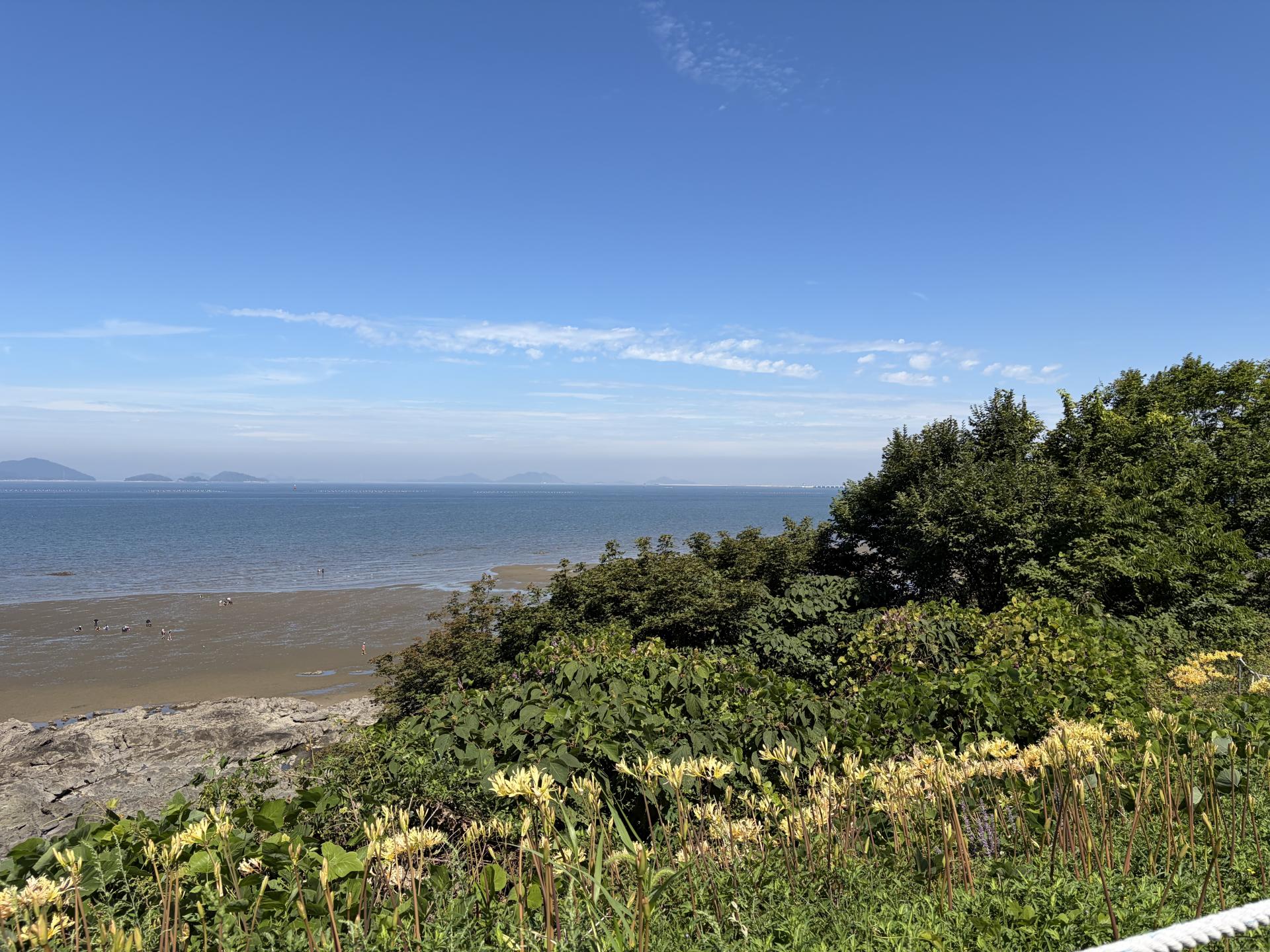 d2443a1e3a79e.jpg