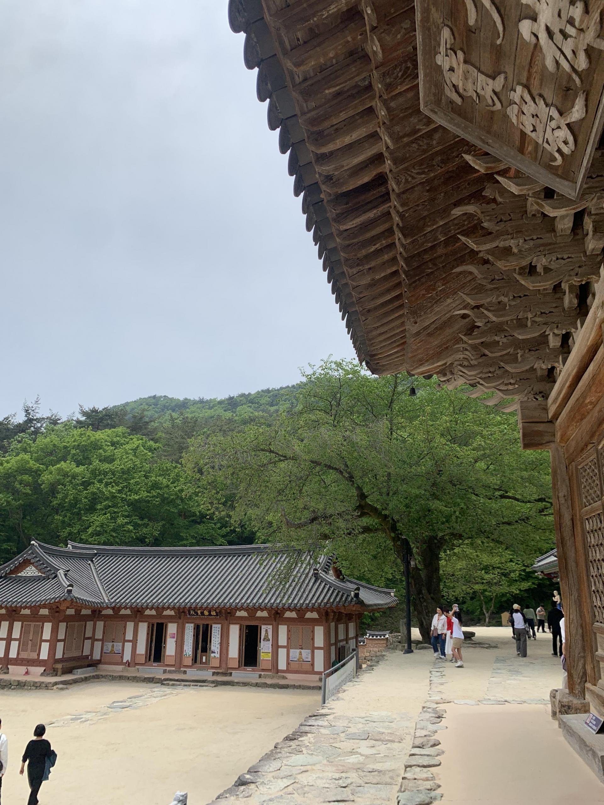 d725779c79c71.jpeg