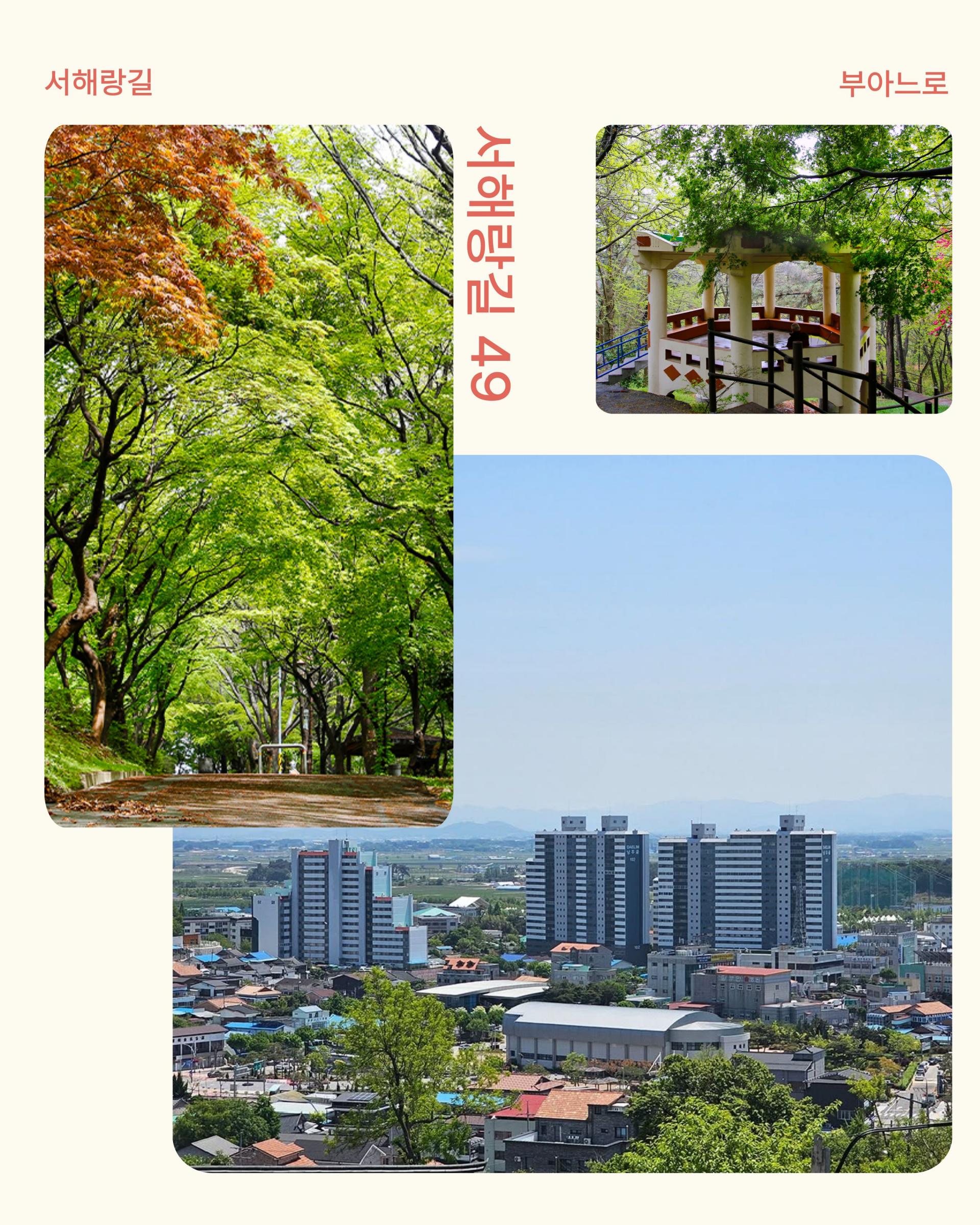 [부안여행] 서해랑길 49·50코스 걷기투어｜로컬식사·기념품·가이드 포함 5천원