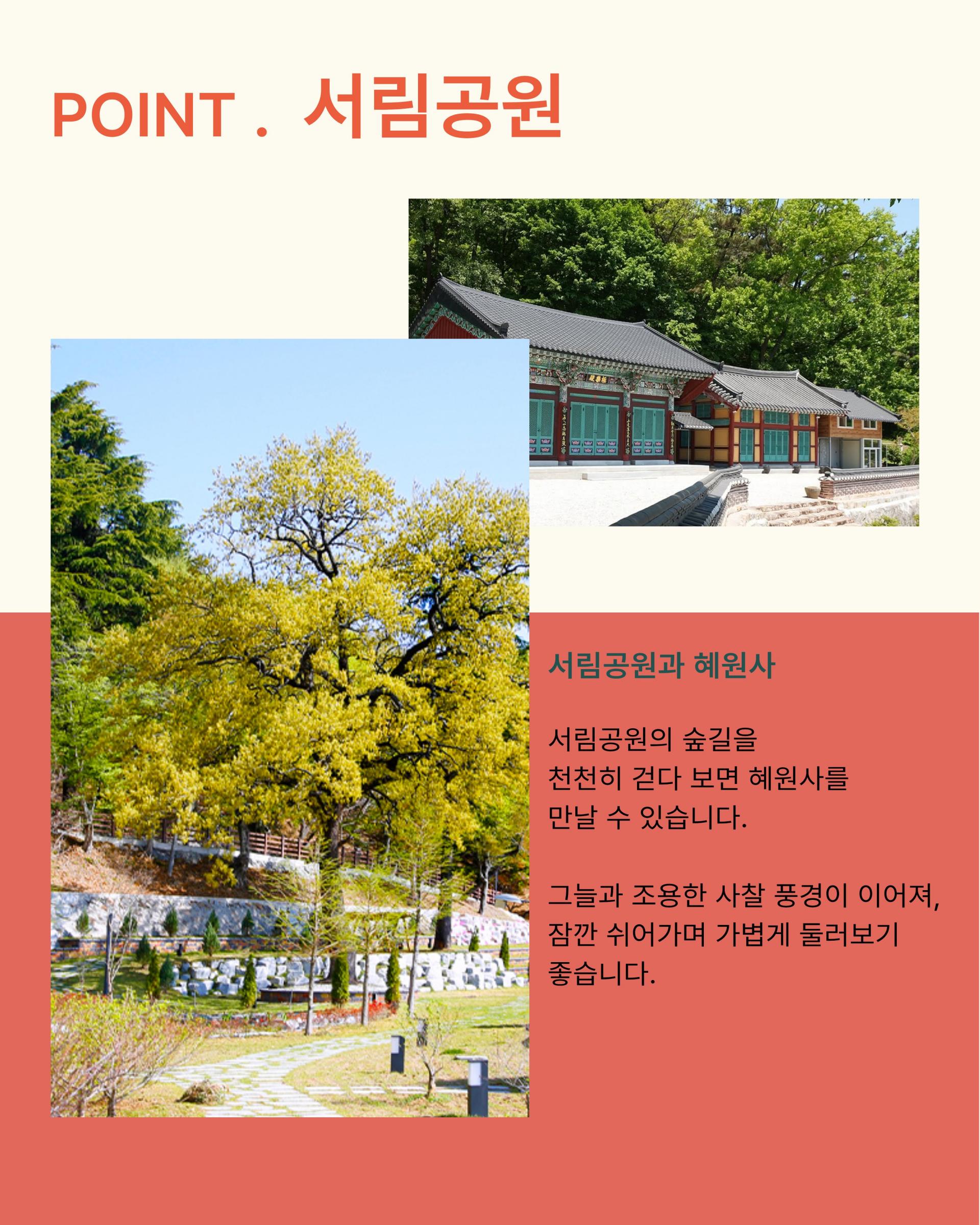 [부안여행] 서해랑길 49·50코스 걷기투어｜로컬식사·기념품·가이드 포함 5천원