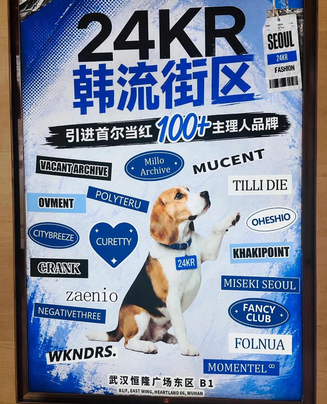 0fdd046a11c51.jpg