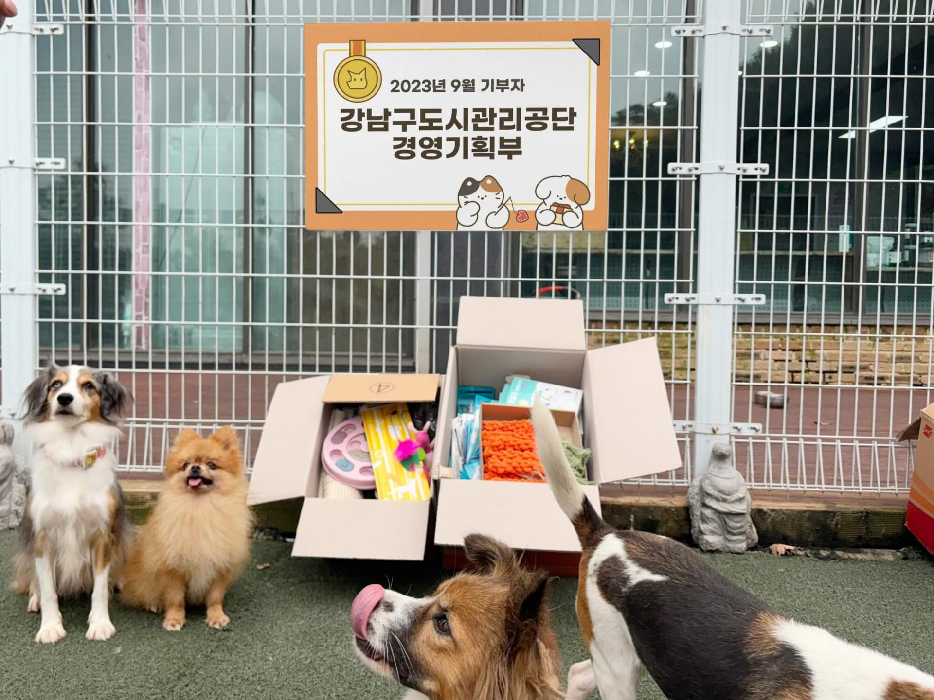 강남구도시관리공단 경영기획부의 유기동물 기부 활동