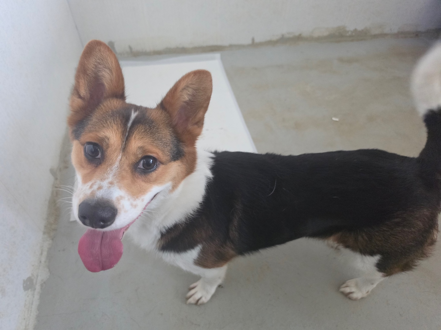 콜마홀딩스_8.jpg