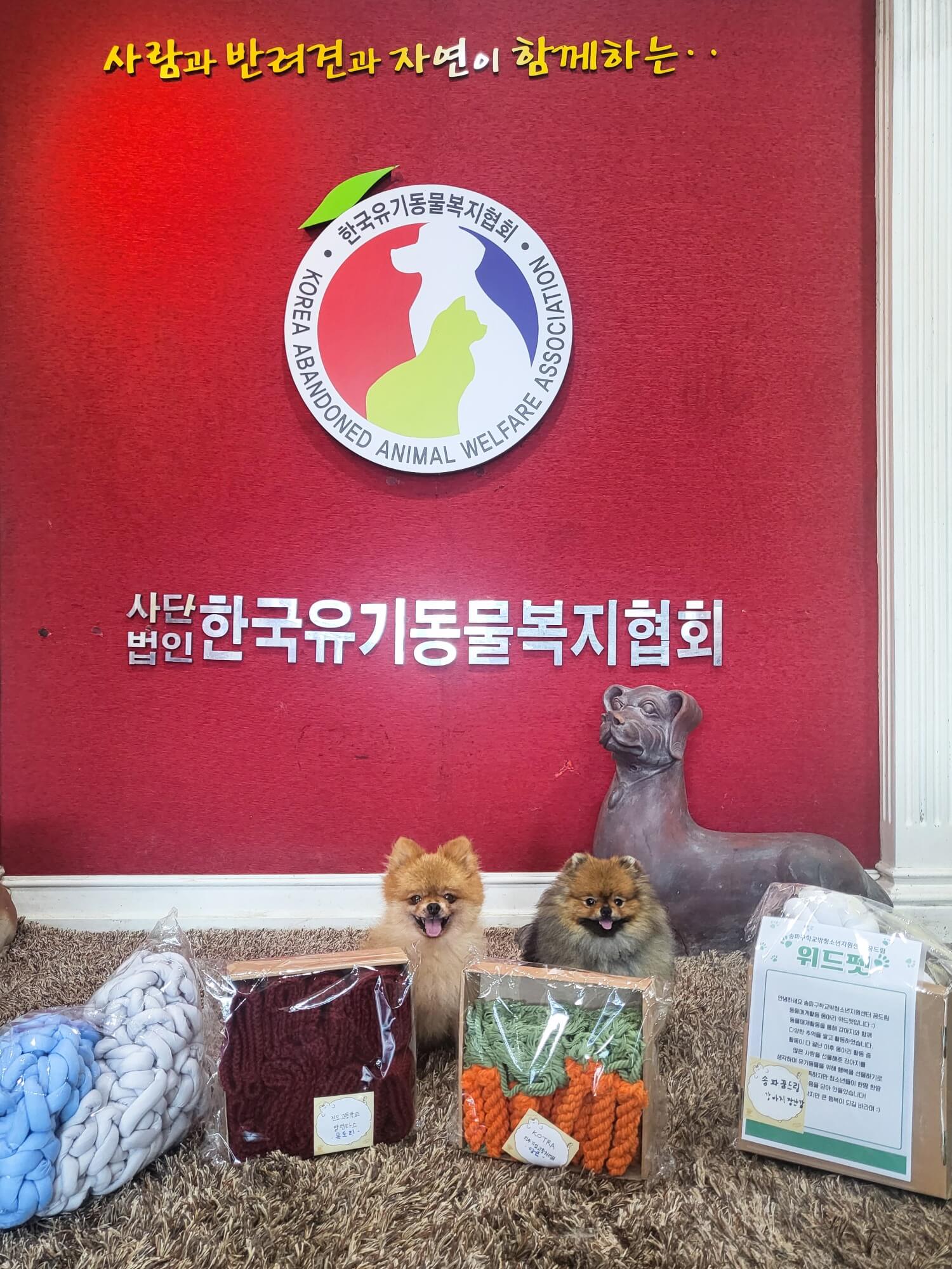 한국유기동물복지협회에 전달된 유기견을 위한 기부 용품들을 반기는 강아지