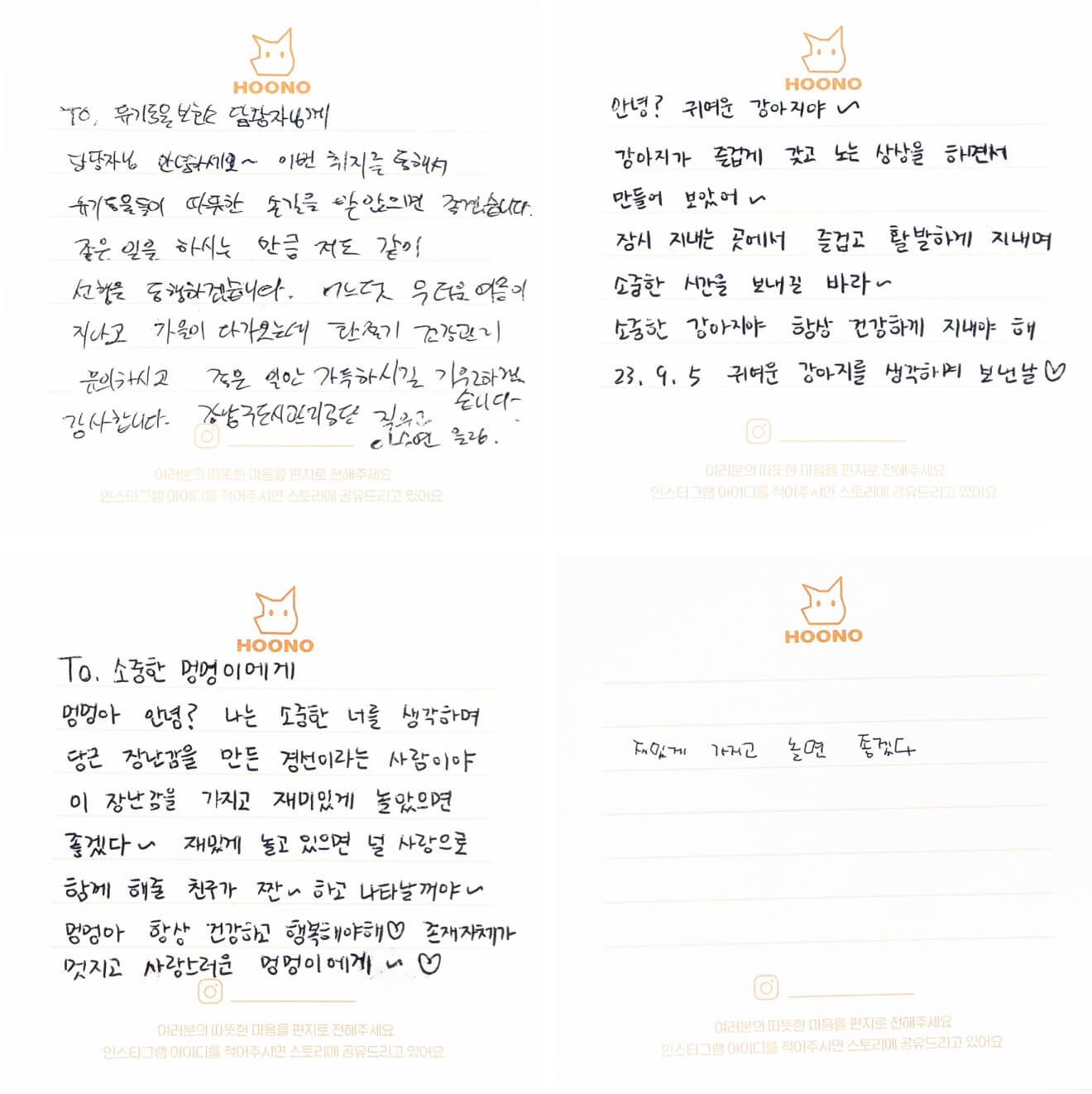 공공기관의 유기동물 봉사활동으로 작성한 편지2