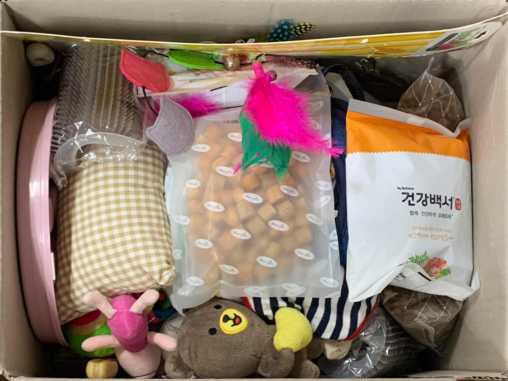 공공기관의 유기동물 봉사활동 기부4