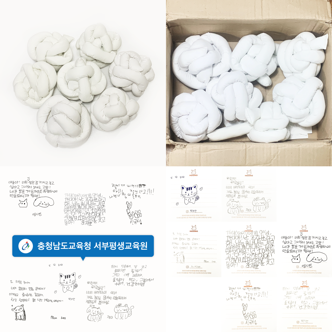기부용품을 선물 받고 행복해하는 한국유기동물 복지협회 강아지들