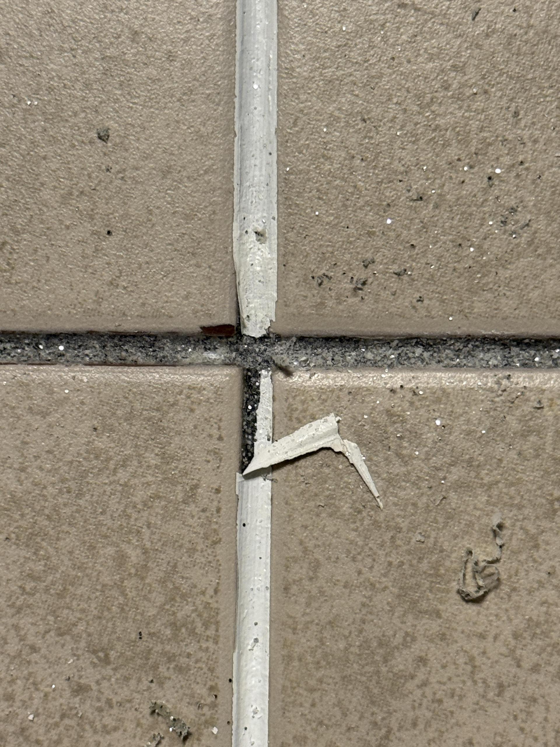 1fd8ed7cdb62b.jpg