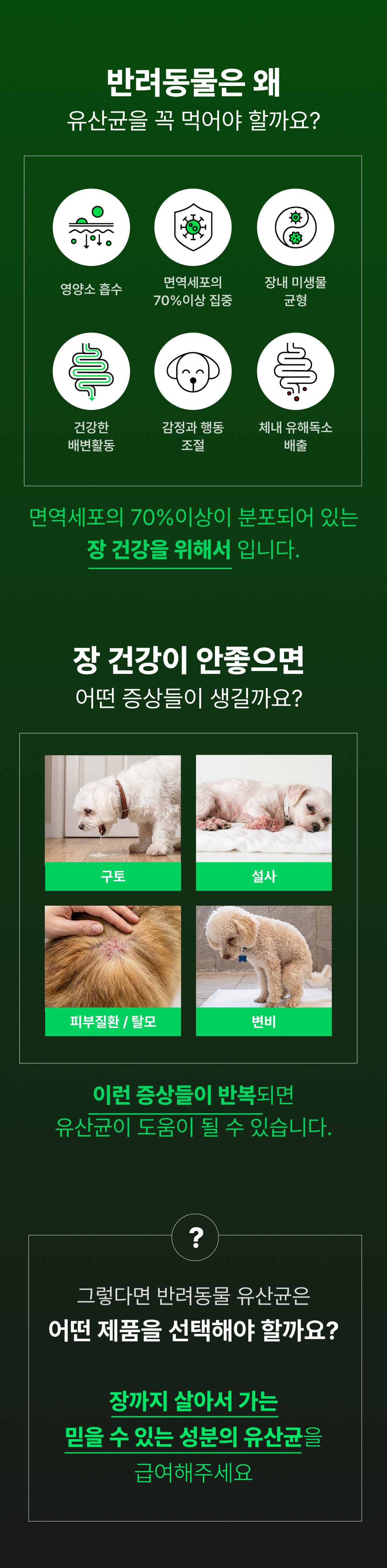 [정기구독] 요로캣 황금똥 강아지유산균 30개입 무른변 변비 설사 면역 알러지 강아지영양제