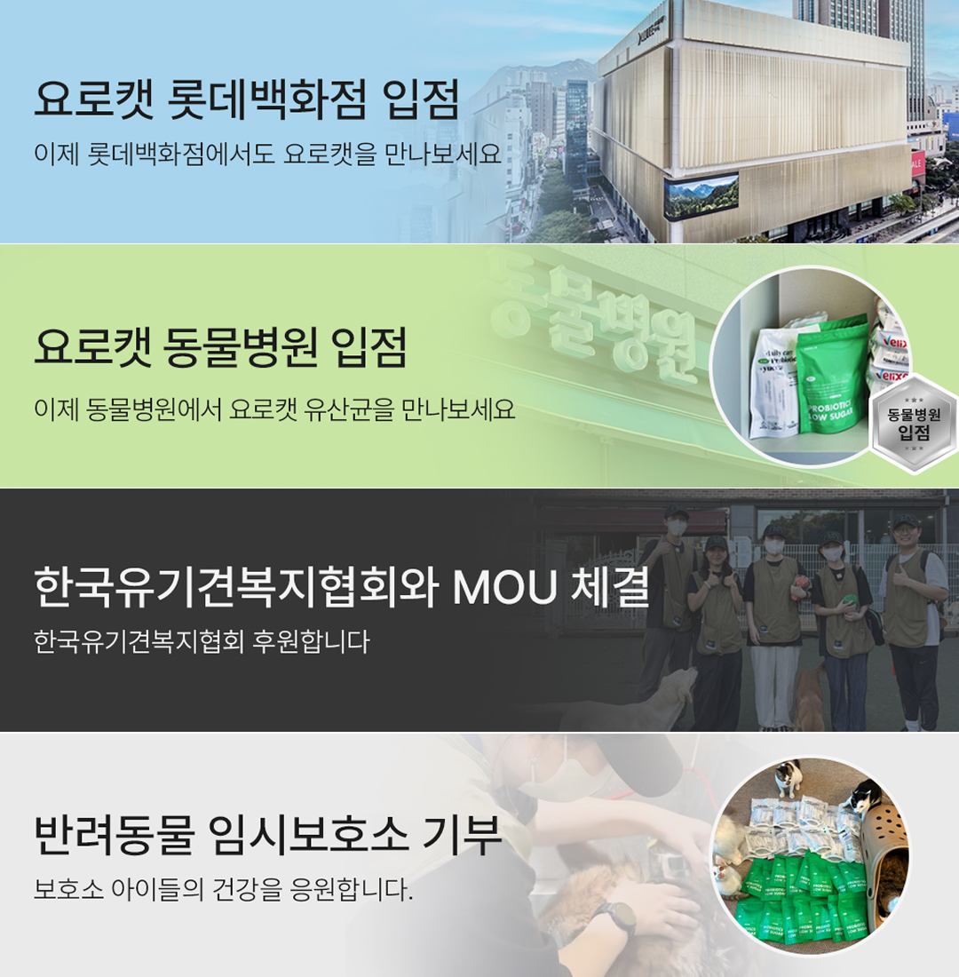 [정기구독] 요로캣 황금똥 강아지유산균 30개입 무른변 변비 설사 면역 알러지 강아지영양제