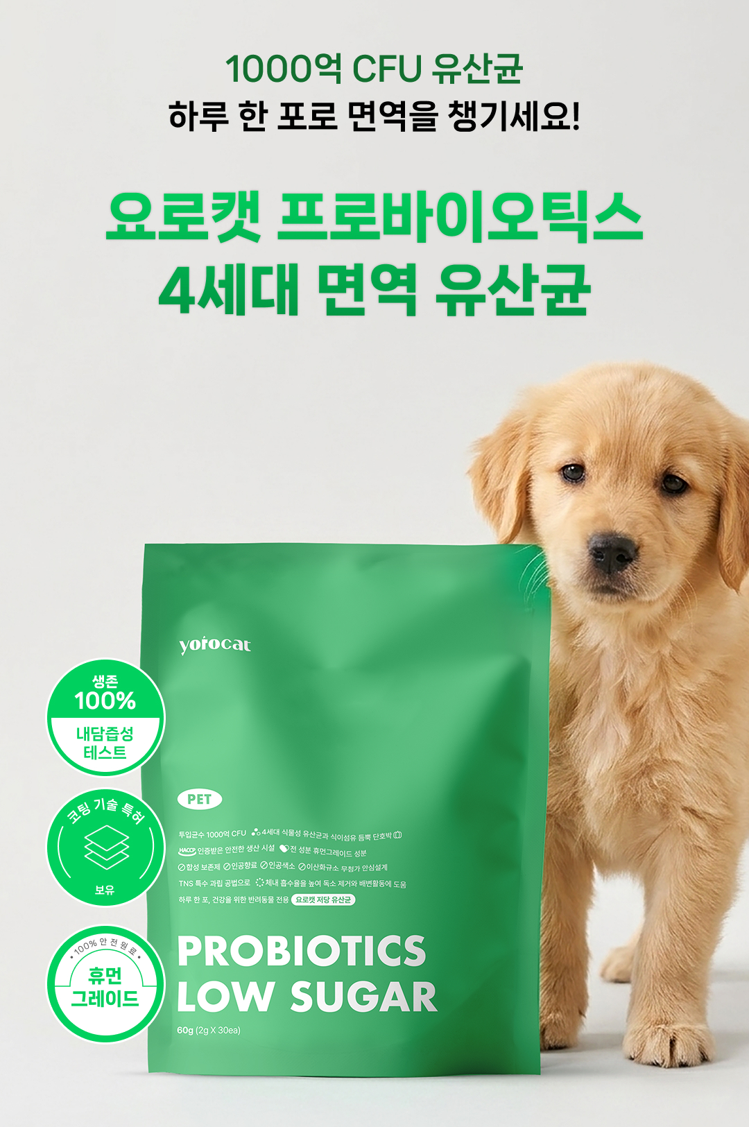 [정기구독] 요로캣 황금똥 강아지유산균 30개입 무른변 변비 설사 면역 알러지 강아지영양제
