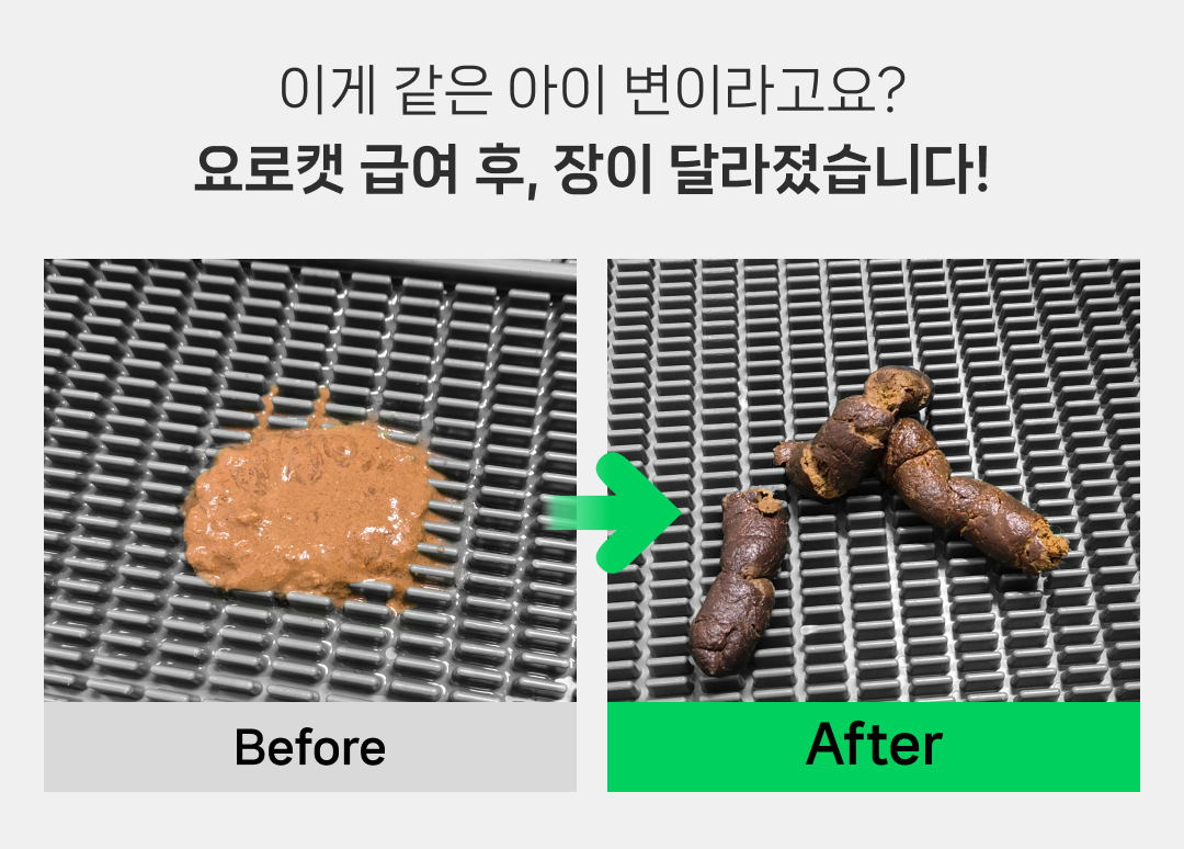 [정기구독] 요로캣 황금똥 강아지유산균 30개입 무른변 변비 설사 면역 알러지 강아지영양제