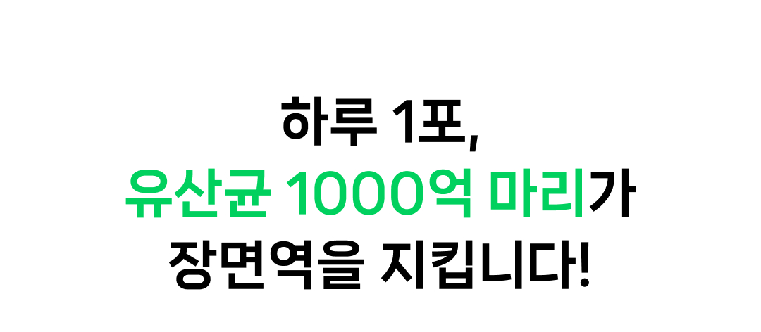 [정기구독] 요로캣 황금똥 강아지유산균 30개입 무른변 변비 설사 면역 알러지 강아지영양제